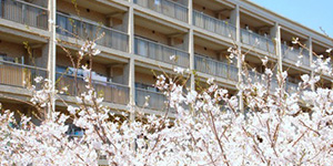 大規模改修工事